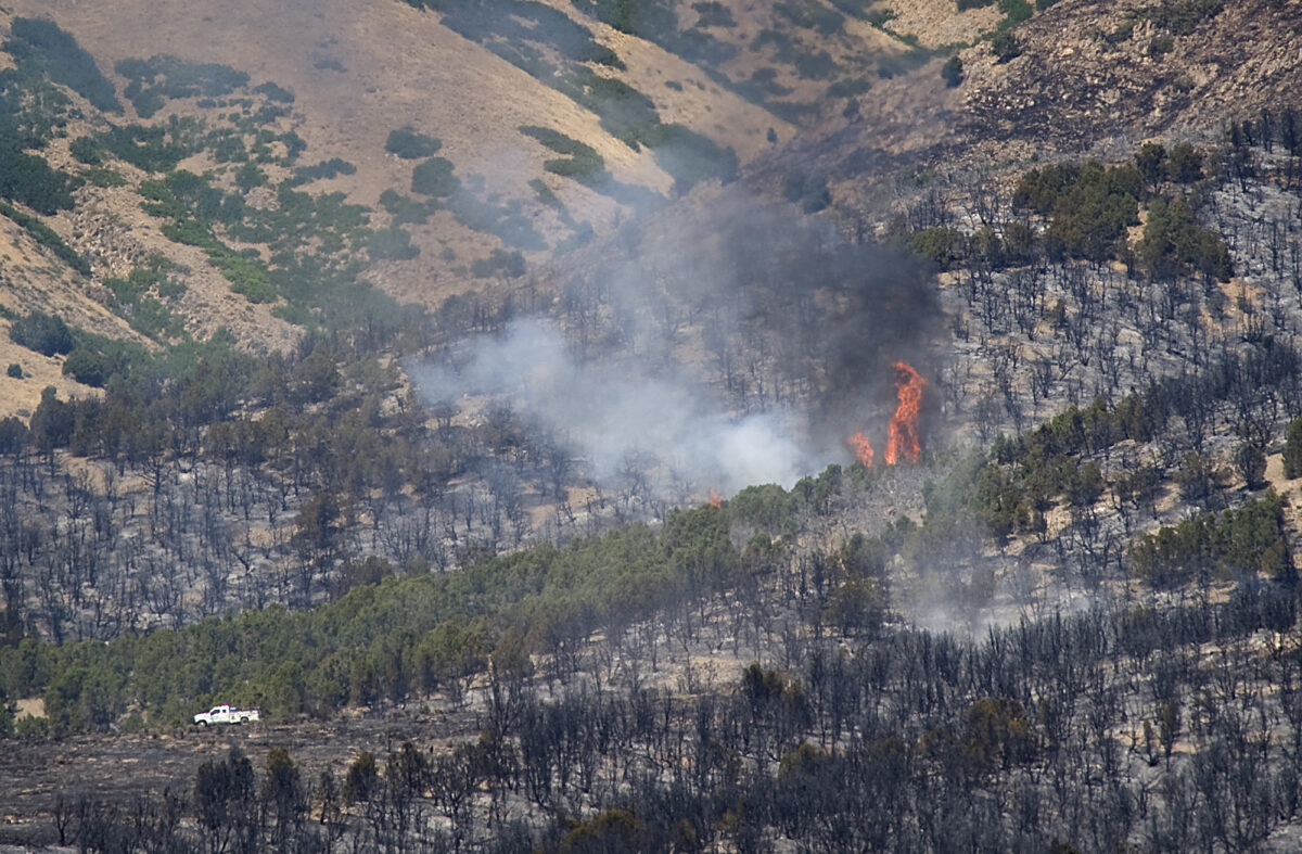 Pinyon Fire dying down, officials looking for full containment News